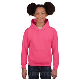 HEAVY BLEND YOUTH PULLOVER HOOD